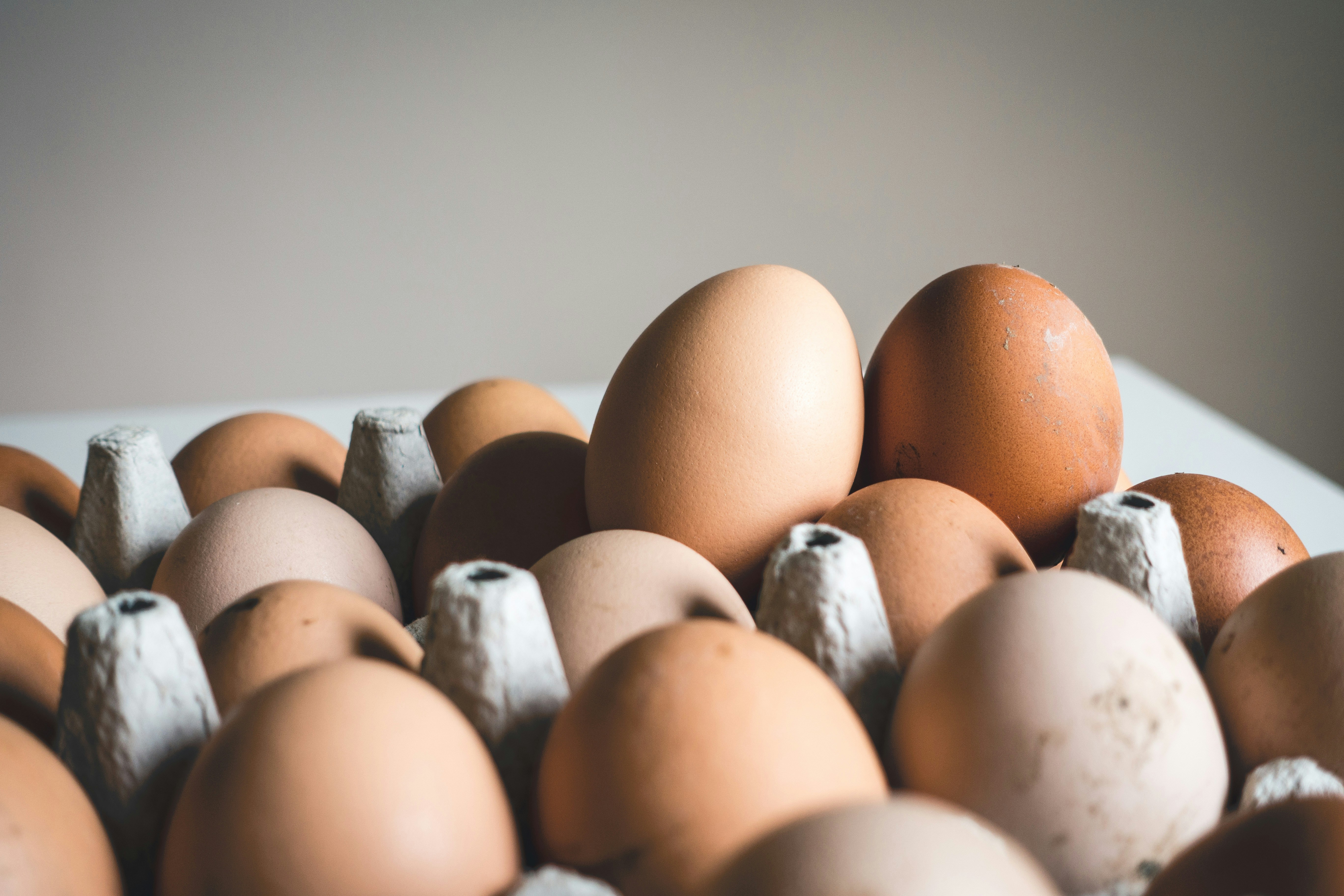 Egg quality standards and grading